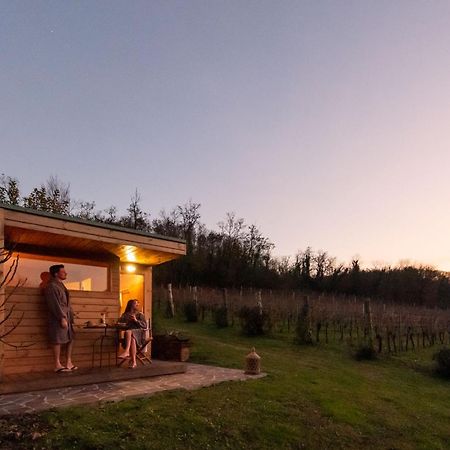 Agriturismo Terre Bianche Teolo Exterior foto