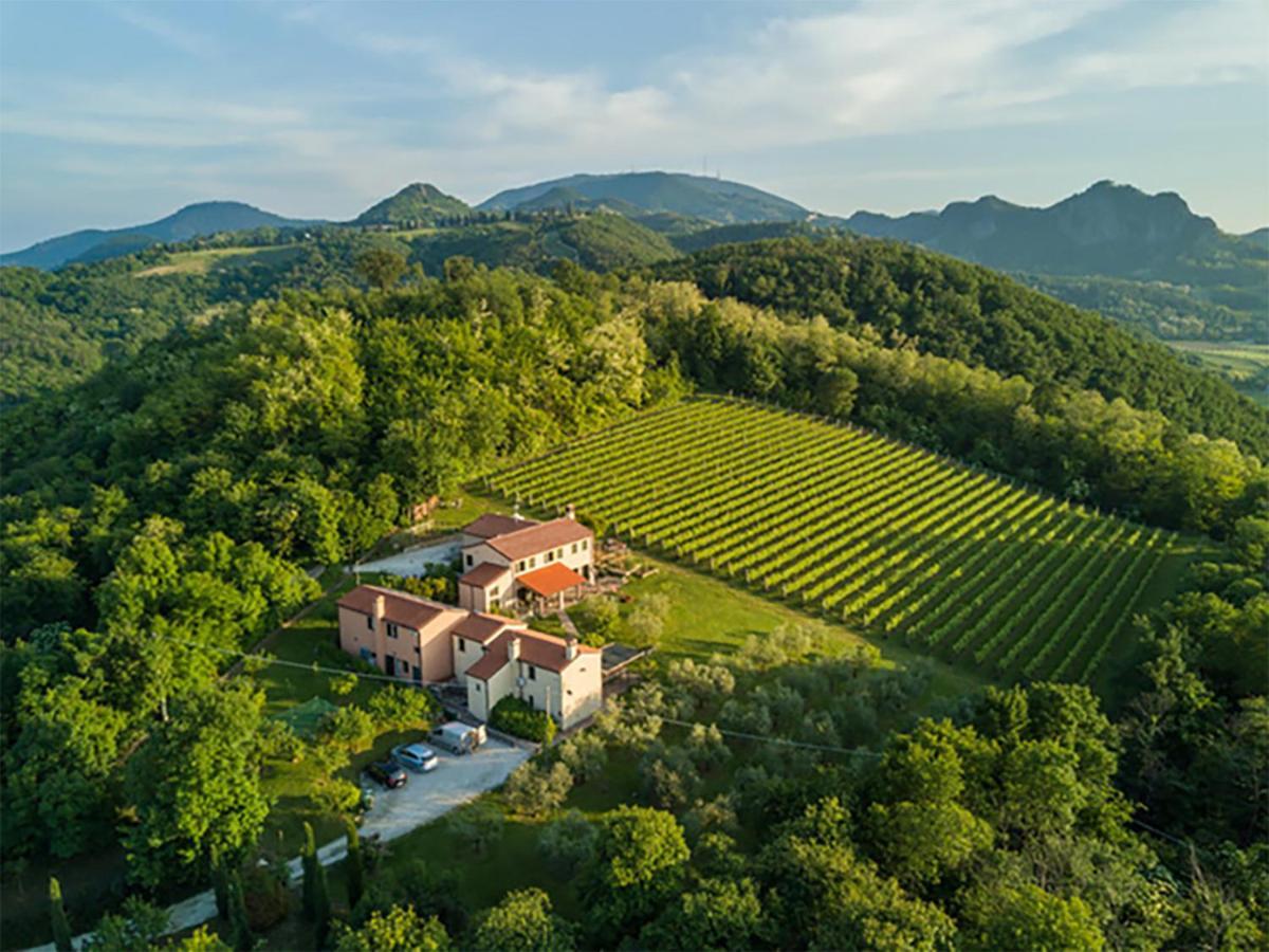 Agriturismo Terre Bianche Teolo Exterior foto