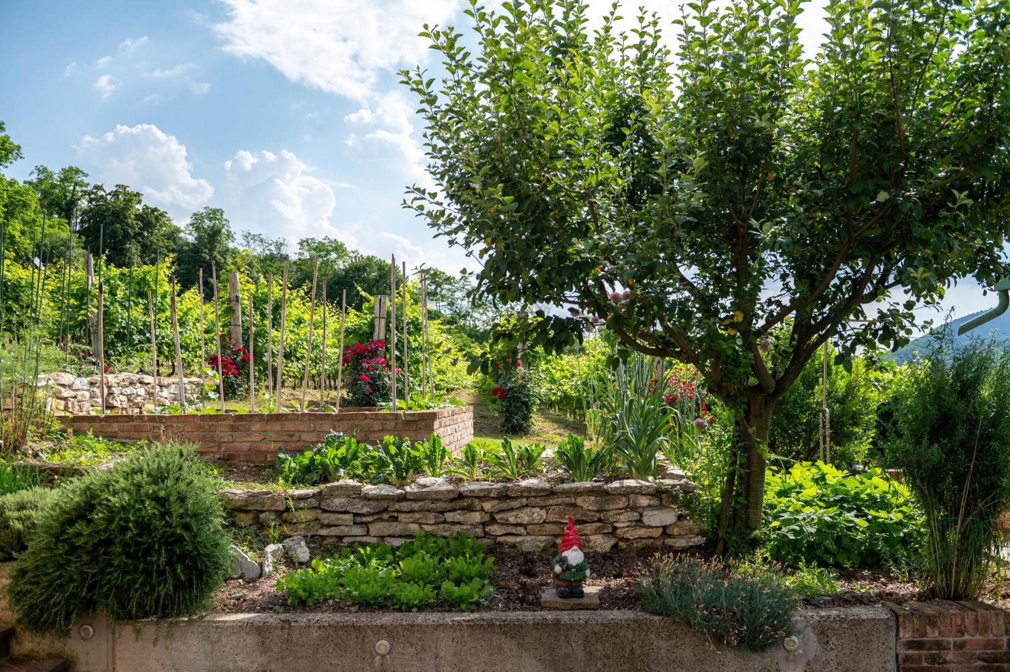 Agriturismo Terre Bianche Teolo Exterior foto
