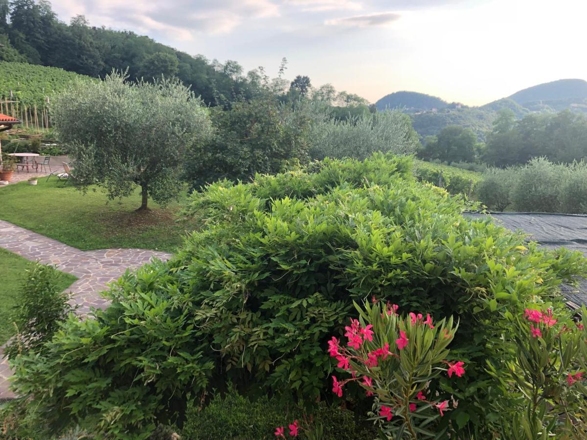Agriturismo Terre Bianche Teolo Exterior foto